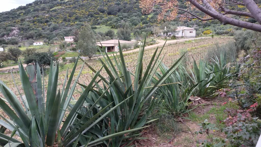 Agriturismo Su Solianu Bari Sardo Exteriör bild