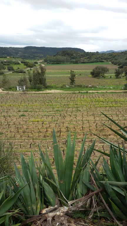 Agriturismo Su Solianu Bari Sardo Exteriör bild