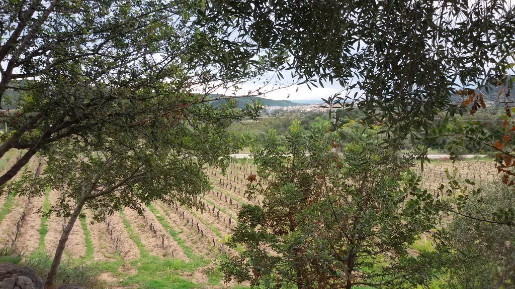 Agriturismo Su Solianu Bari Sardo Exteriör bild